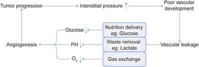 The crosstalk among the physical tumor microenvironment and the effects of glucose deprivation on tumors in the past decade